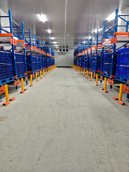 Rack Protection Bollard